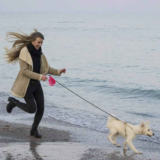 16 Feet Retractable Pet Leash - A-1 Thread Vault