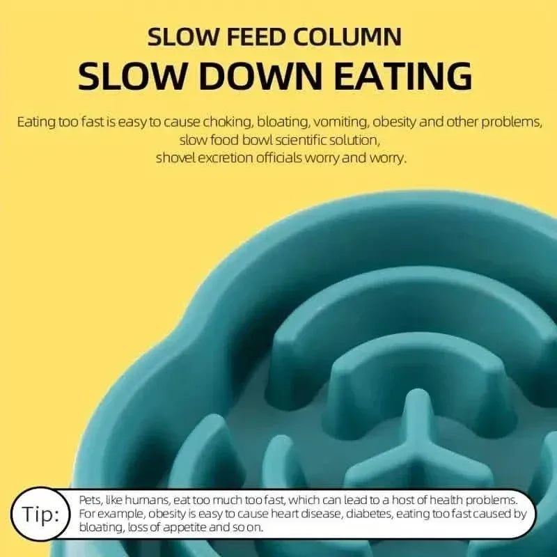 2-Pack: Cat and Dog Slow Food Bowl Slow Food Bowl - A-1 Thread Vault