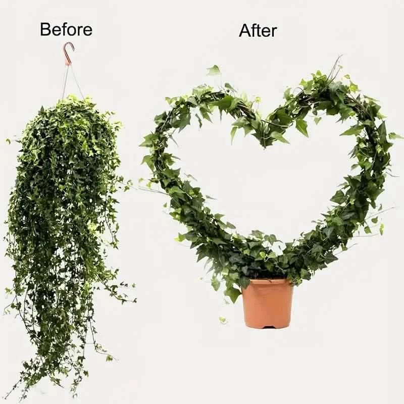 2-Pack: Heart-Shaped Plant Support Stake - A-1 Thread Vault