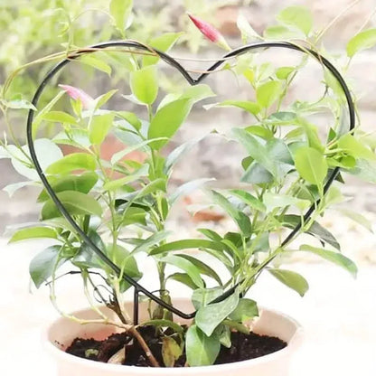 2-Pack: Heart-Shaped Plant Support Stake - A-1 Thread Vault