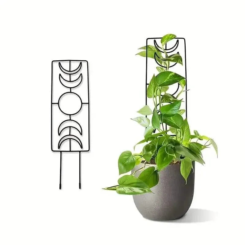 2-Pack: Metal Plant Trellis for Climbing Plants Indoor - A-1 Thread Vault