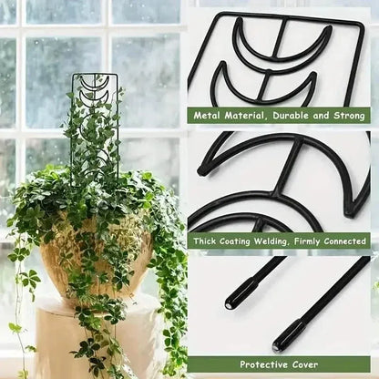 2-Pack: Metal Plant Trellis for Climbing Plants Indoor - A-1 Thread Vault