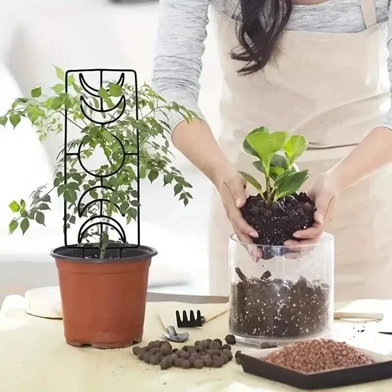 2-Pack: Metal Plant Trellis for Climbing Plants Indoor - A-1 Thread Vault