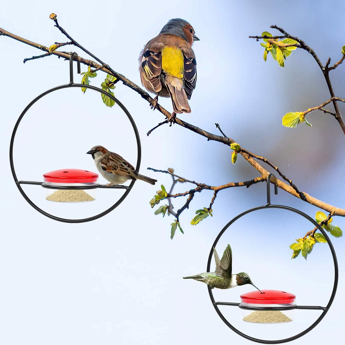 3-Pieces: Stackable Hanging Humming Bird Feeder with Metal Frame & Red Plastic Bowl - A-1 Thread Vault
