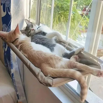 360¬∞ Cat Window Hammock: A Space-Saving Sunny Seat for Indoor Cats! - A-1 Thread Vault