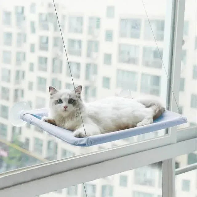 360¬∞ Cat Window Hammock: A Space-Saving Sunny Seat for Indoor Cats! - A-1 Thread Vault