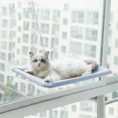 360¬∞ Cat Window Hammock: A Space-Saving Sunny Seat for Indoor Cats! - A-1 Thread Vault