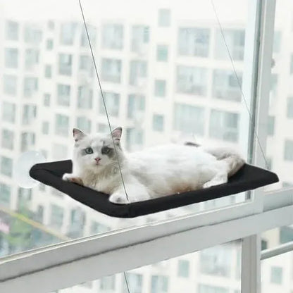 360¬∞ Cat Window Hammock: A Space-Saving Sunny Seat for Indoor Cats! - A-1 Thread Vault