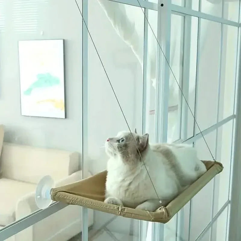 360¬∞ Cat Window Hammock: A Space-Saving Sunny Seat for Indoor Cats! - A-1 Thread Vault