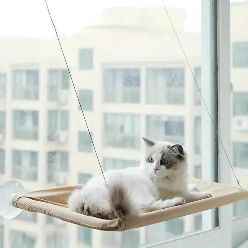 360¬∞ Cat Window Hammock: A Space-Saving Sunny Seat for Indoor Cats! - A-1 Thread Vault