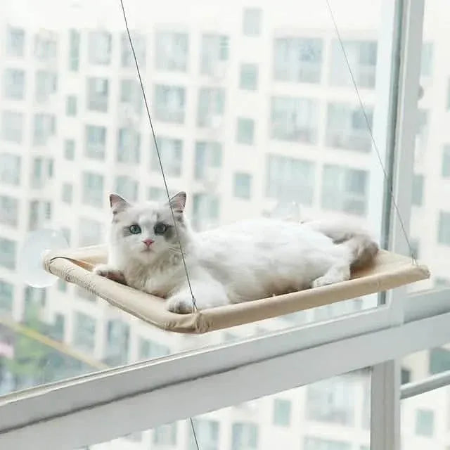 360¬∞ Cat Window Hammock: A Space-Saving Sunny Seat for Indoor Cats! - A-1 Thread Vault