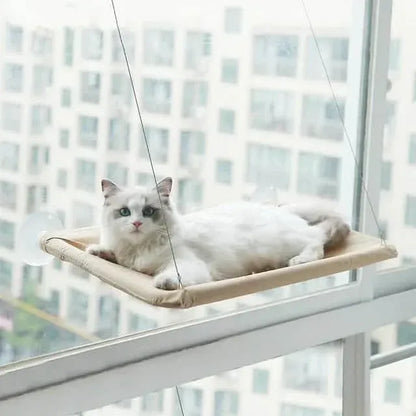 360¬∞ Cat Window Hammock: A Space-Saving Sunny Seat for Indoor Cats! - A-1 Thread Vault