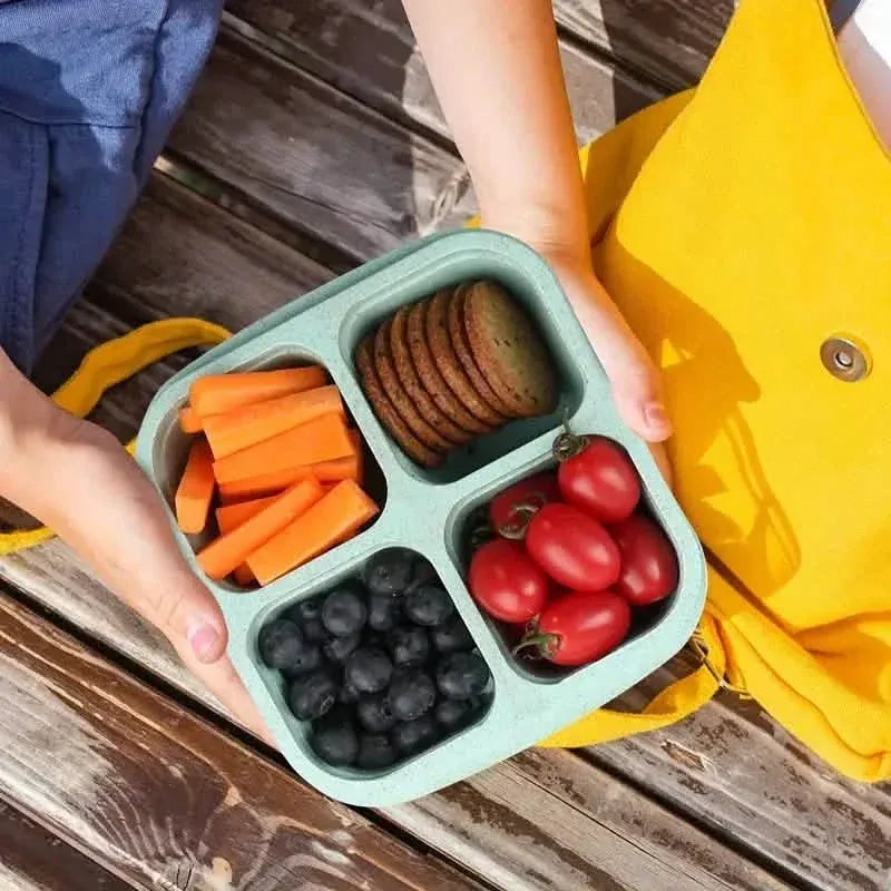 4-Pack: Snack Container With 4 Compartments, Divided Bento Lunch Box With Transparent Lids - A-1 Thread Vault