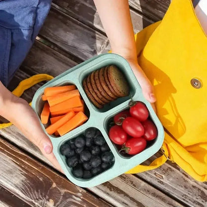 4-Pack: Snack Container With 4 Compartments, Divided Bento Lunch Box With Transparent Lids - A-1 Thread Vault