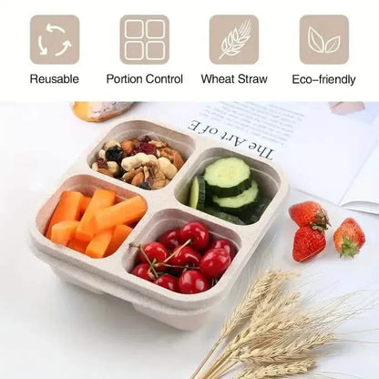 4-Pack: Snack Container With 4 Compartments, Divided Bento Lunch Box With Transparent Lids - A-1 Thread Vault