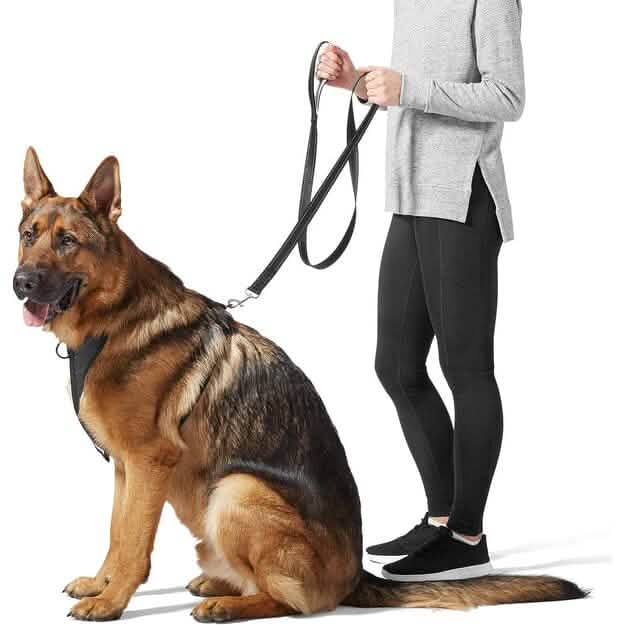5 Foot Padded Single Handle Dog Leash - A-1 Thread Vault