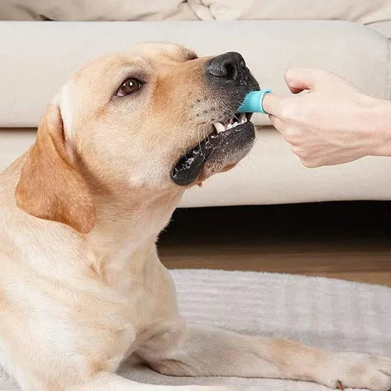 5-Pieces: Super Soft Pet Finger Toothbrush Teeth Cleaning Silicone Tooth Brush - A-1 Thread Vault