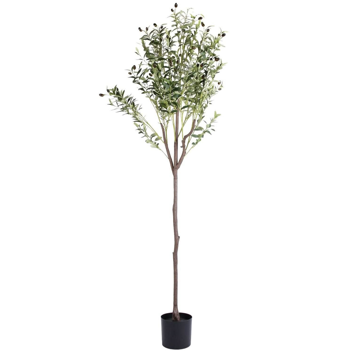 5.9ft Artificial Olive Tree with Lush Olive Branches and Fruits with Black Planter Pot - A-1 Thread Vault