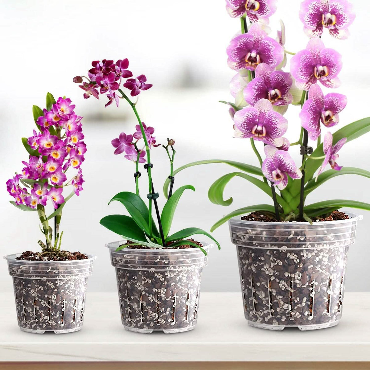 9-Piece: Orchid Pots Clear Reusable Plastic Flower Plant Nursery Planter - A-1 Thread Vault