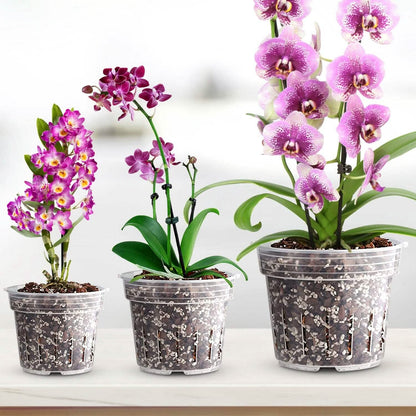 9-Piece: Orchid Pots Clear Reusable Plastic Flower Plant Nursery Planter - A-1 Thread Vault