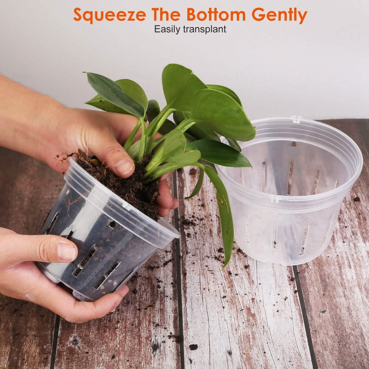 9-Piece: Orchid Pots Clear Reusable Plastic Flower Plant Nursery Planter - A-1 Thread Vault
