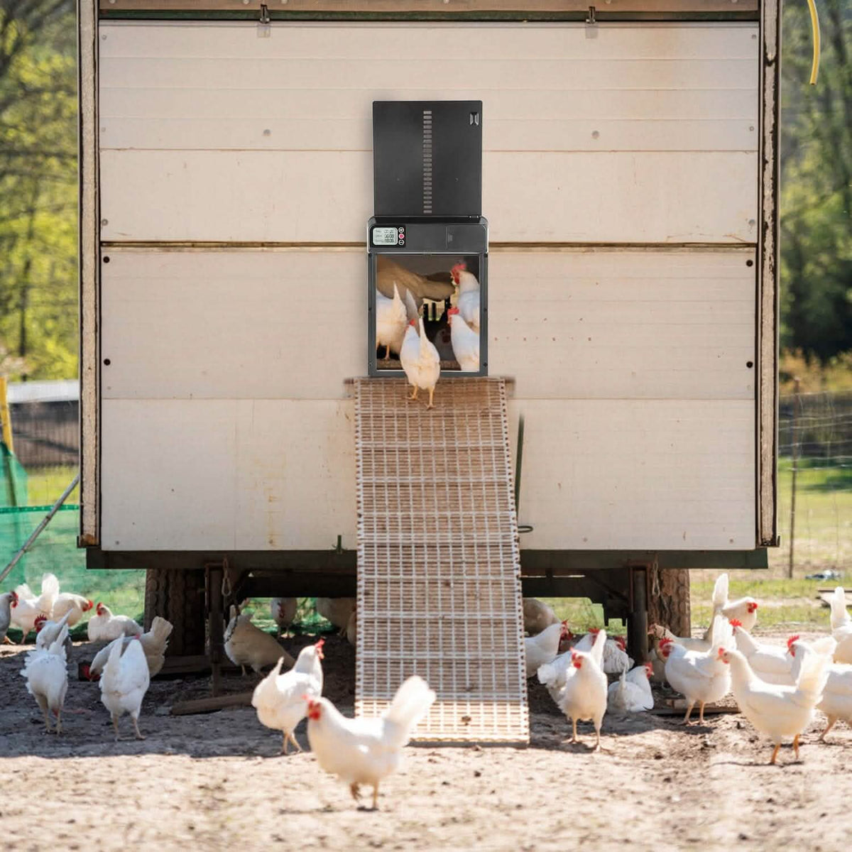 Automatic Chicken Coop Door with Timer Setting - A-1 Thread Vault