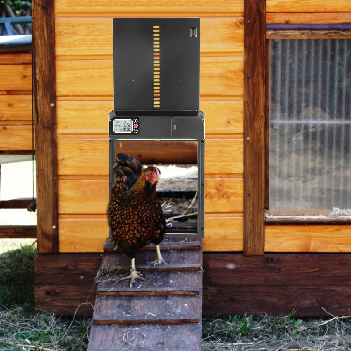 Automatic Chicken Coop Door with Timer Setting - A-1 Thread Vault