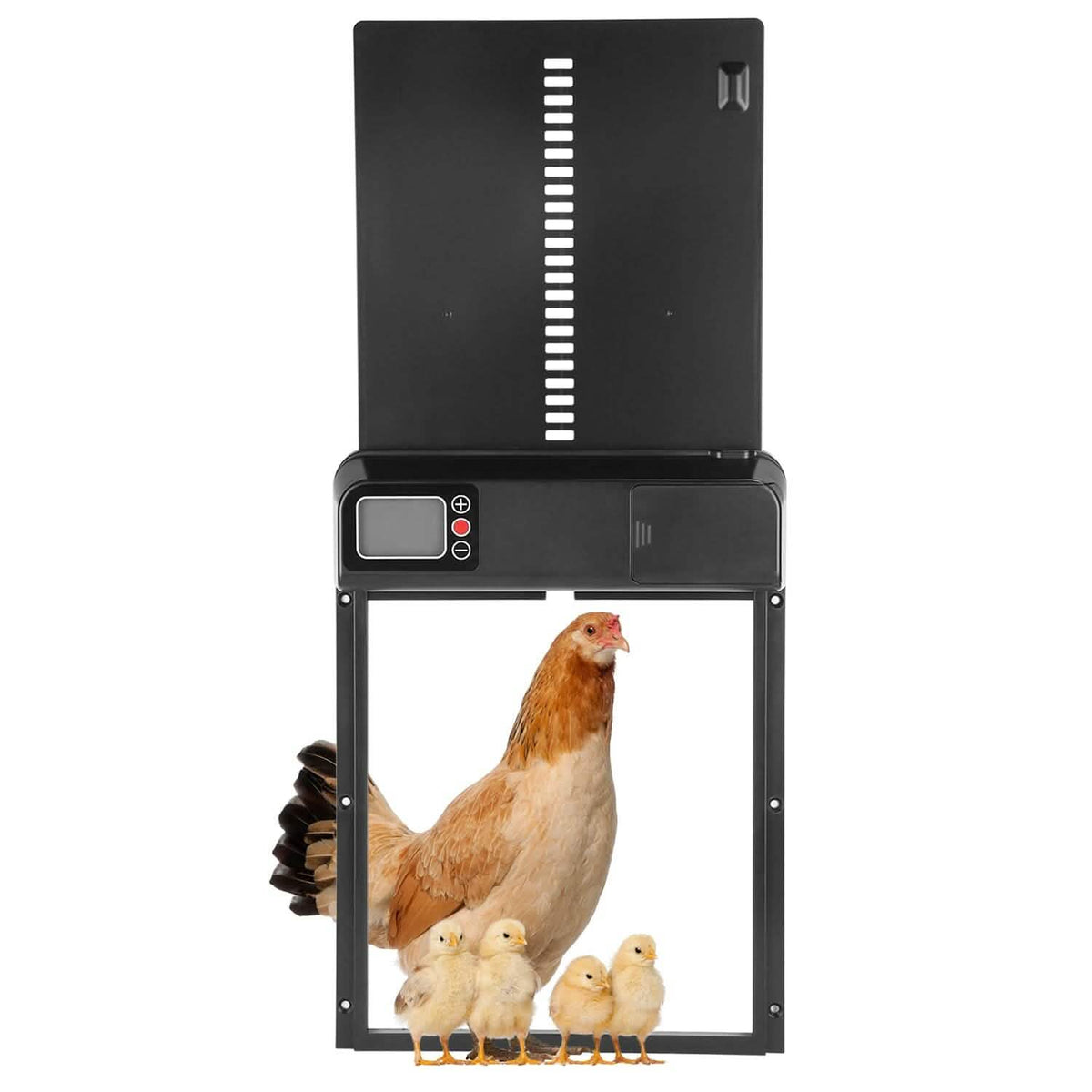 Automatic Chicken Coop Door with Timer Setting - A-1 Thread Vault