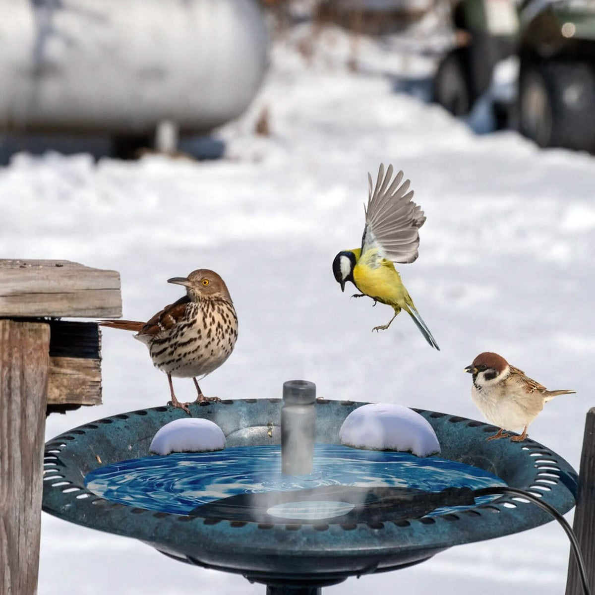 Bird Bath Deicer Outdoor Winter Water Heater Thermostatically Controlled - A-1 Thread Vault
