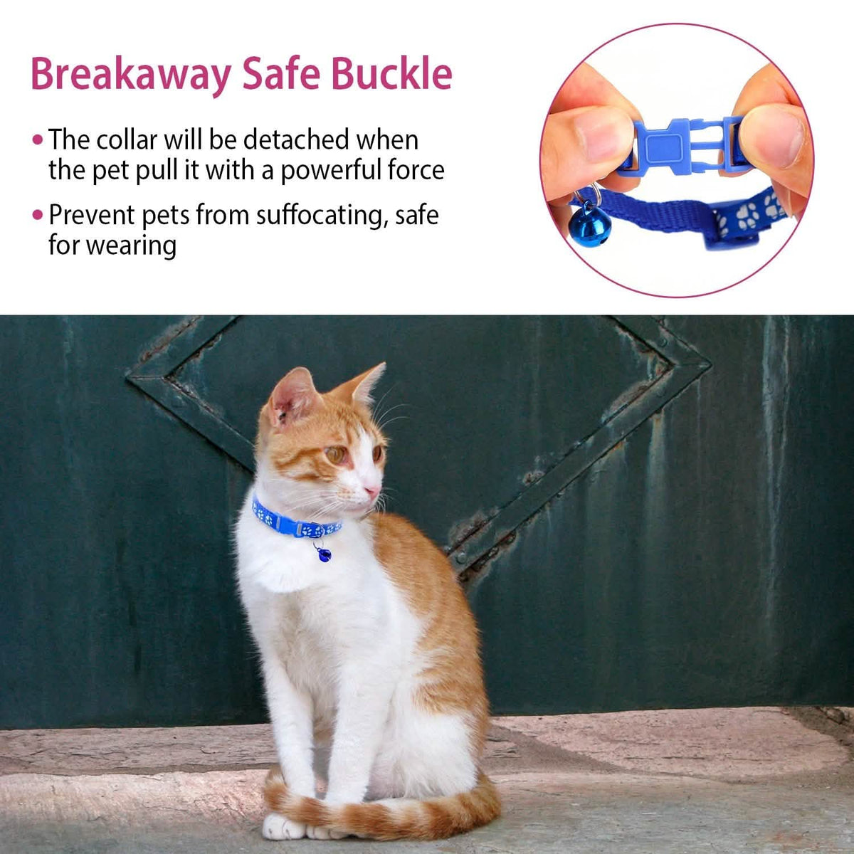 Ca2-Pack: Adjustable Kitten Collar with Bell Name Tag - A-1 Thread Vault