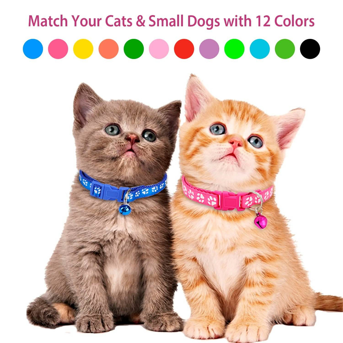 Ca2-Pack: Adjustable Kitten Collar with Bell Name Tag - A-1 Thread Vault