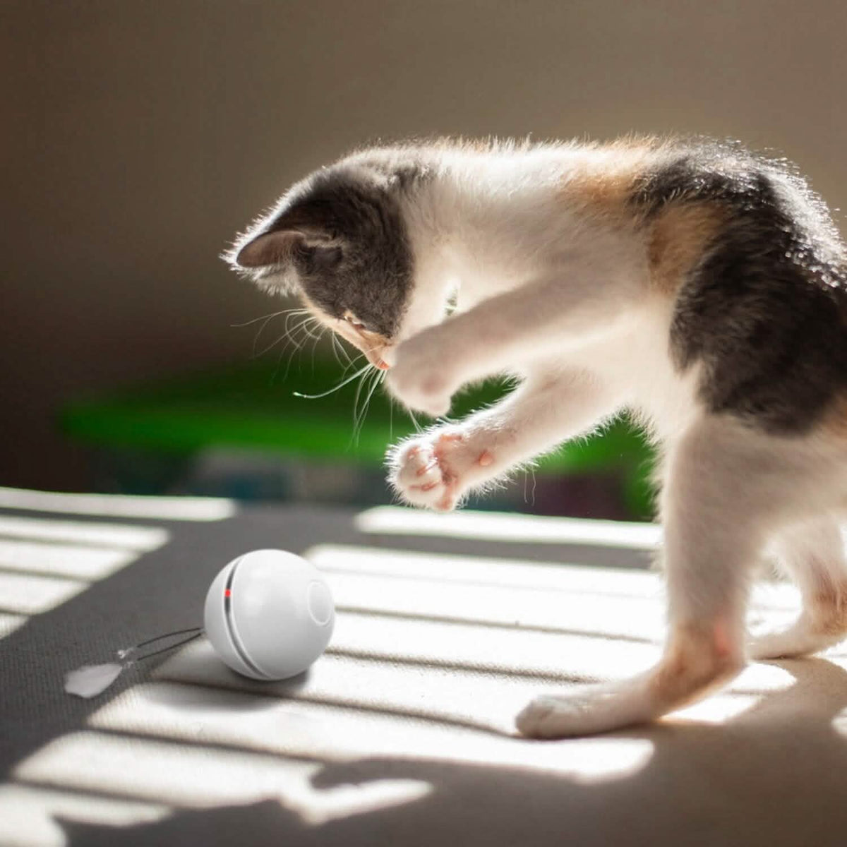 Cat Teaser Ball Automatic Self Rotating Interactive Cat Motion Exercise Toy - A-1 Thread Vault
