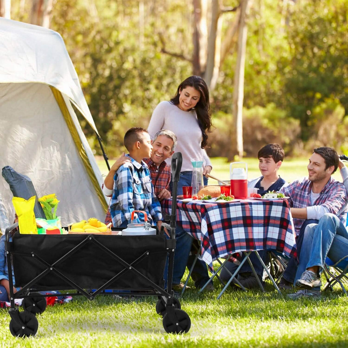 Collapsible Folding Wagon Cart - A-1 Thread Vault