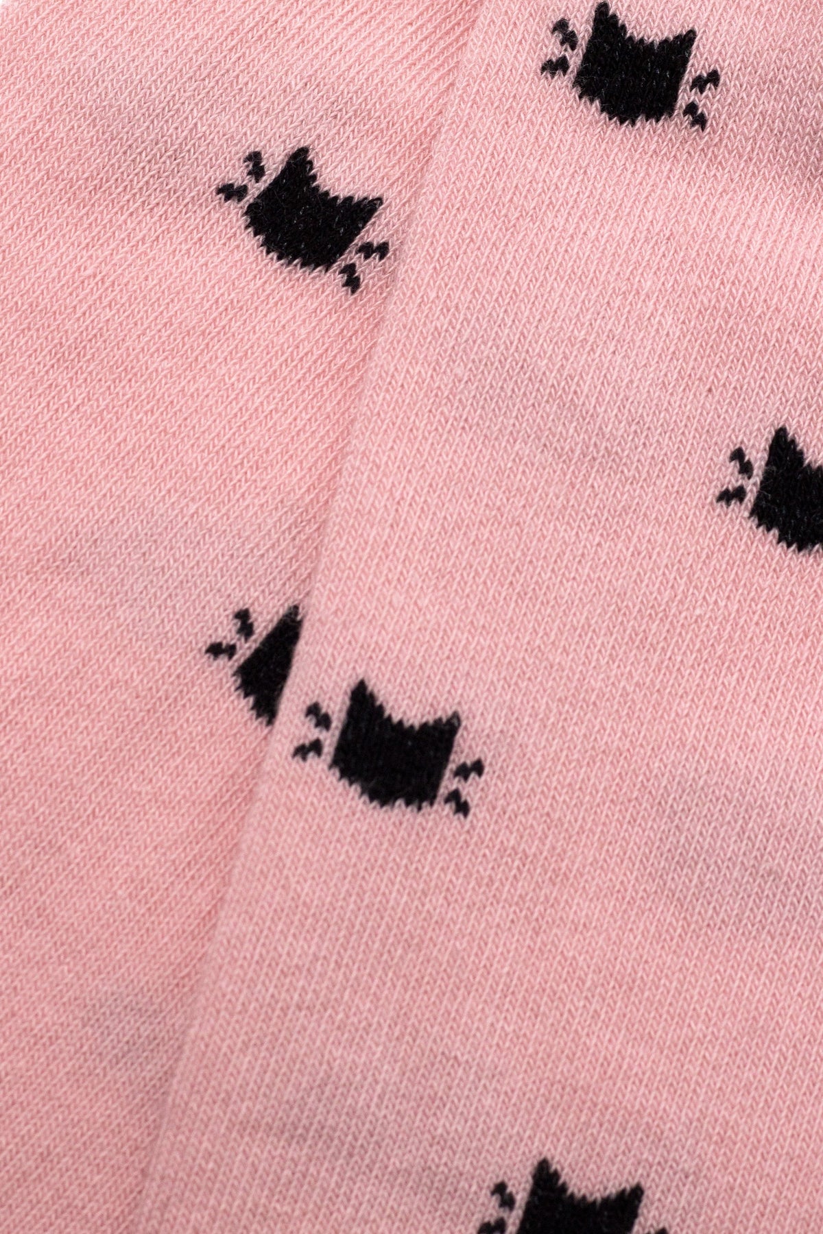 Conte-Kids Cotton Tights - Tip-Top 567 - A-1 Thread Vault