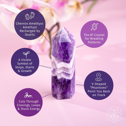 Cycle Breaker - Chevron Amethyst Point of Transformation - A-1 Thread Vault