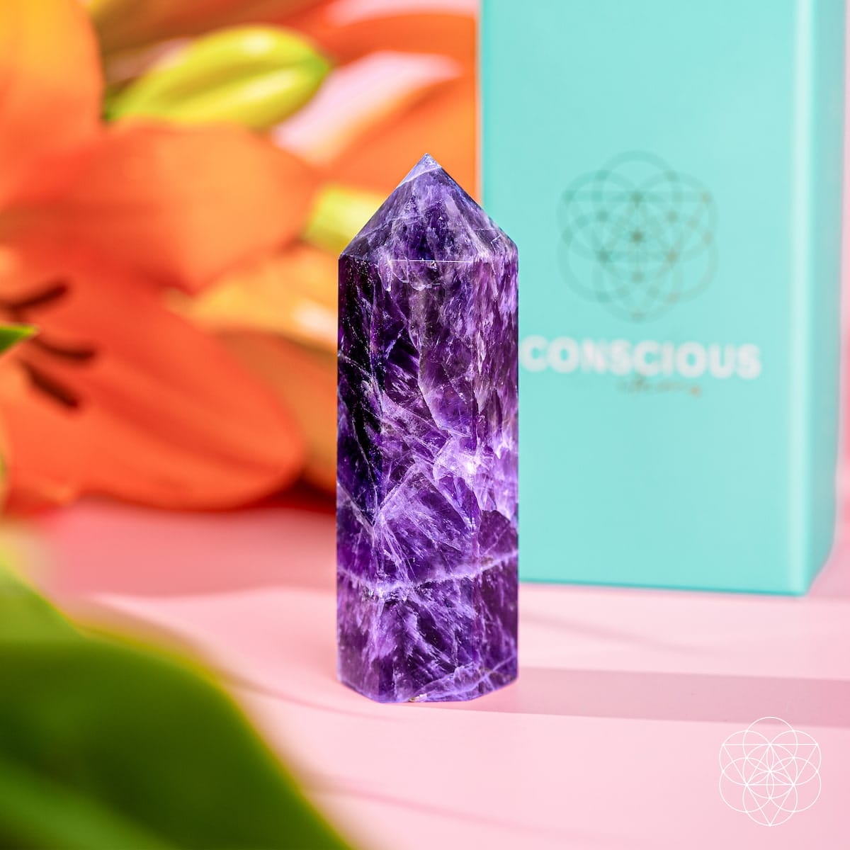 Cycle Breaker - Chevron Amethyst Point of Transformation - A-1 Thread Vault
