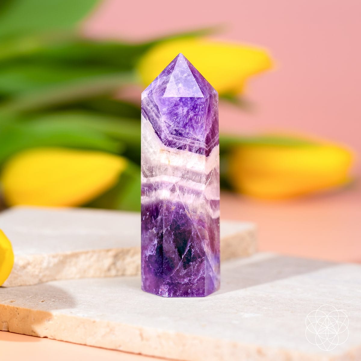 Cycle Breaker - Chevron Amethyst Point of Transformation - A-1 Thread Vault