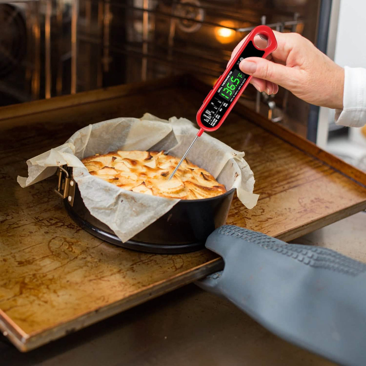 Digital Thermometer BBQ Meat Food Cooking Temperature Tester - A-1 Thread Vault