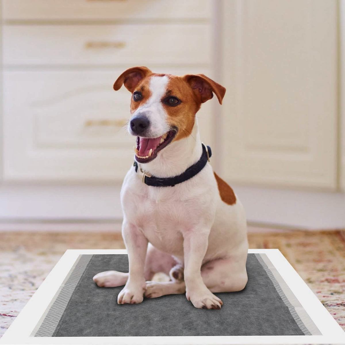 Dog Pee Training Pads Super Absorbent - A-1 Thread Vault