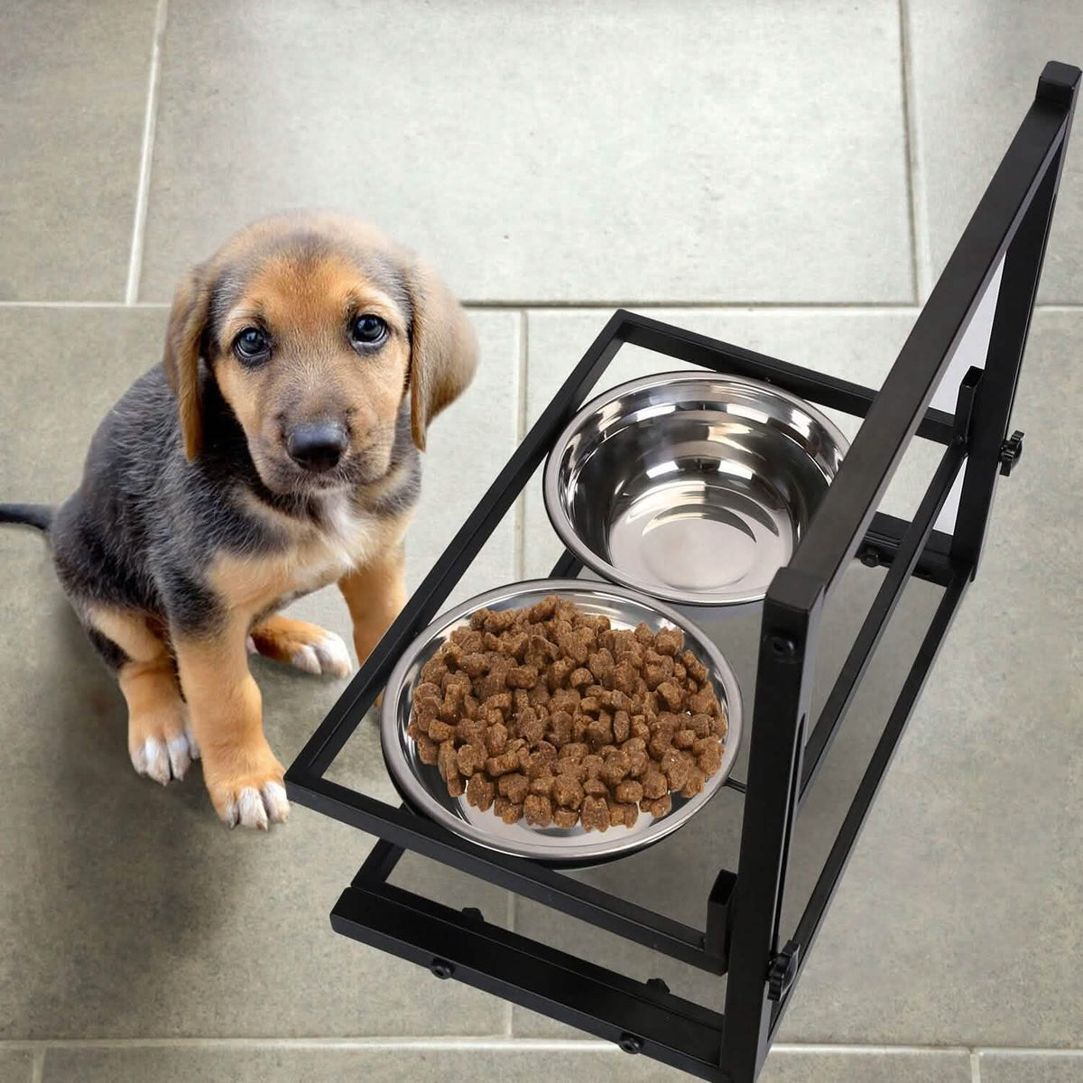 Dog Raised Bowls with Adjustable Height Stainless Steel - A-1 Thread Vault