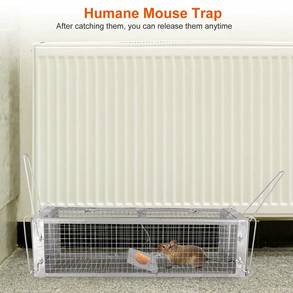 Dual Door Rat Trap Cage Humane with 2 Detachable U Shape Rod - A-1 Thread Vault