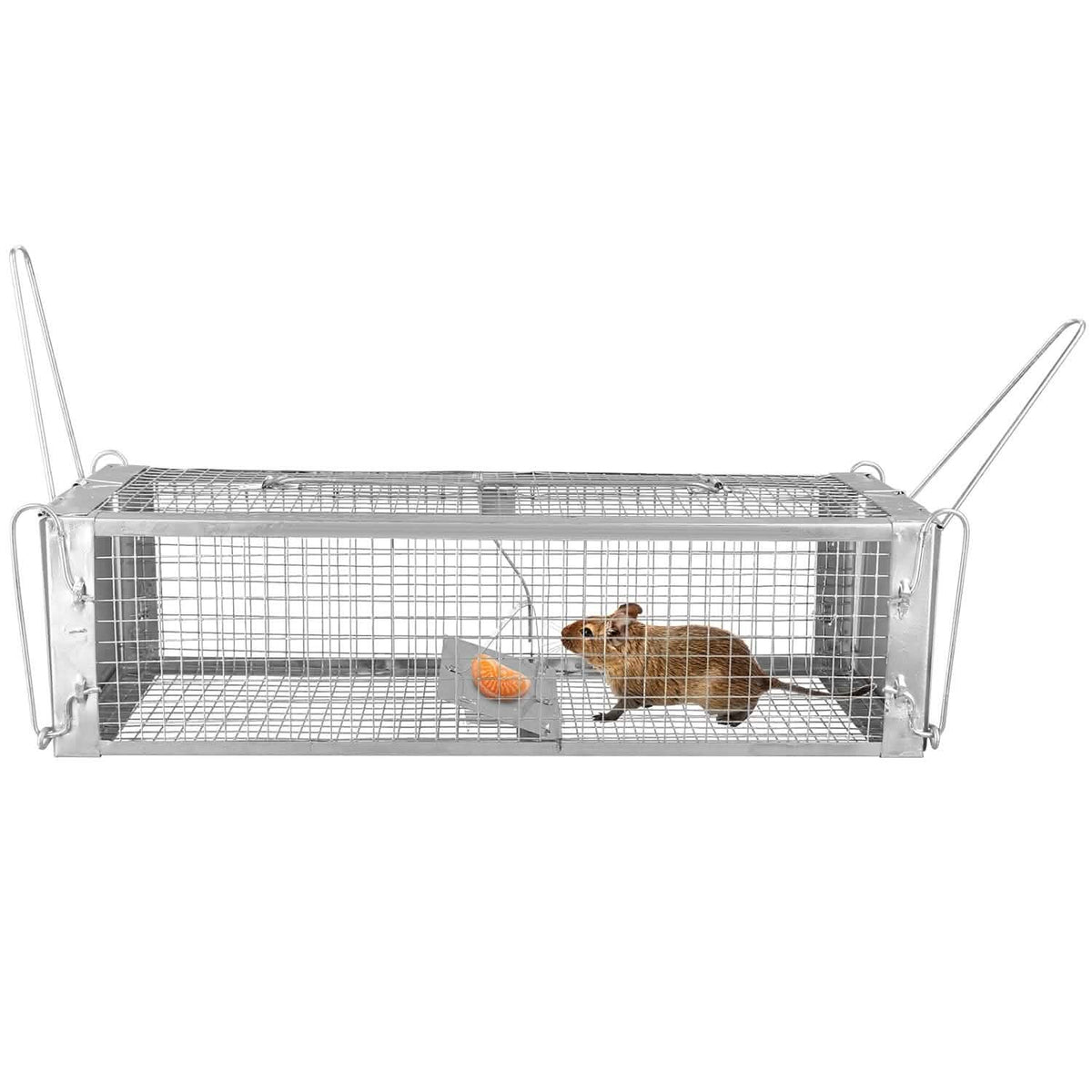 Dual Door Rat Trap Cage Humane with 2 Detachable U Shape Rod - A-1 Thread Vault
