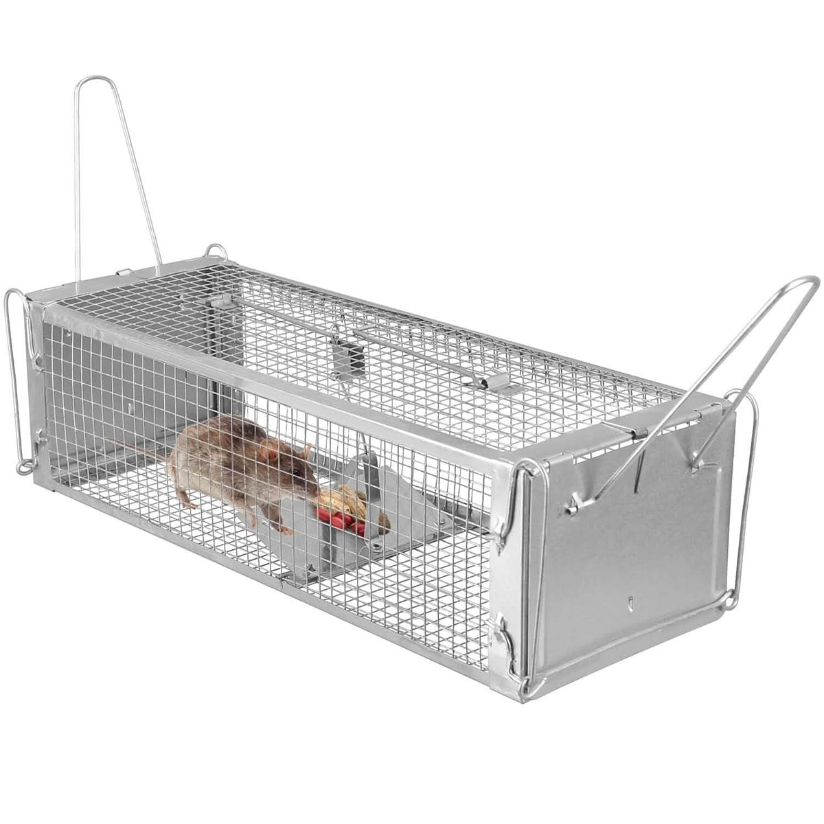 Dual Door Rat Trap Cage Humane with 2 Detachable U Shape Rod - A-1 Thread Vault