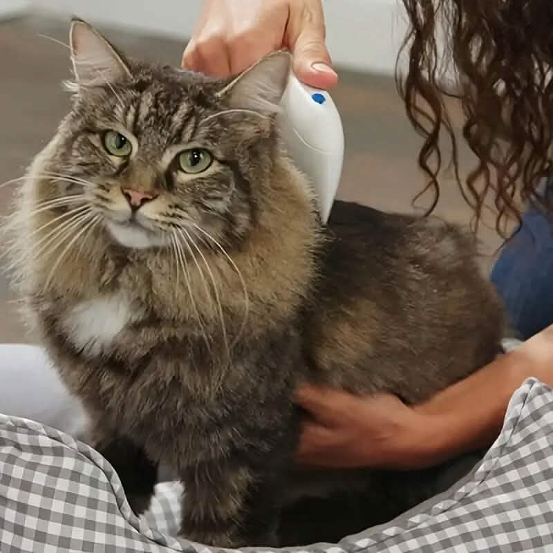 Electric Flea Comb for Cats and Dogs - A-1 Thread Vault