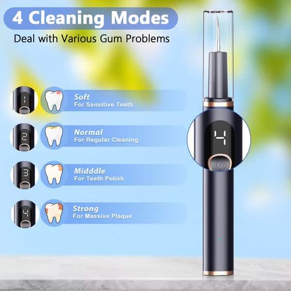 Electric Plaque Remover for Teeth, Rechargeable Teeth Cleaning Kit with 4 Modes - A-1 Thread Vault