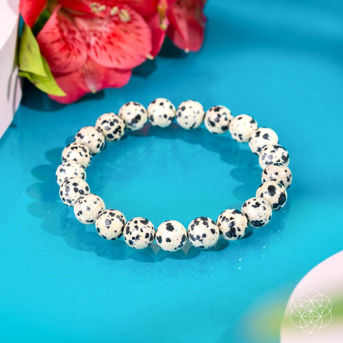 Emotional Detox - Dalmatian Jasper Bracelet - A-1 Thread Vault