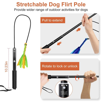 Extendable Dog Flirt Pole with 2 Replaceable Interactive Tail Toys - A-1 Thread Vault