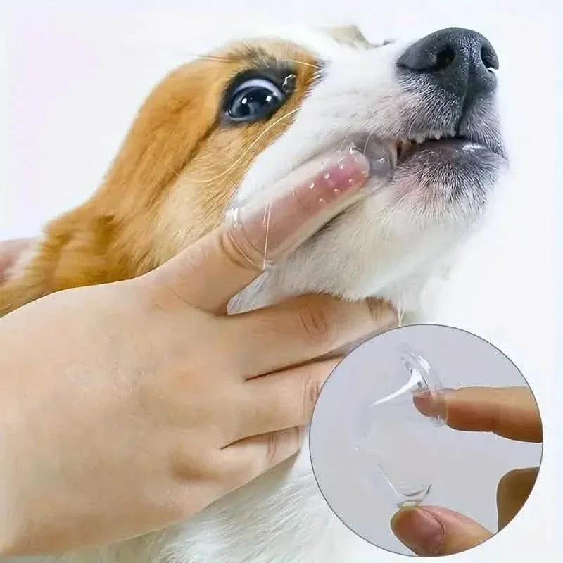 Finger Toothbrush For Dogs and Cats - A-1 Thread Vault