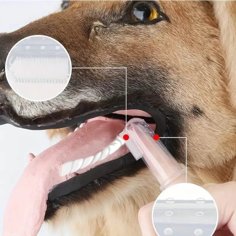 Finger Toothbrush For Dogs and Cats - A-1 Thread Vault