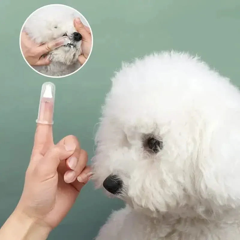 Finger Toothbrush For Dogs and Cats - A-1 Thread Vault